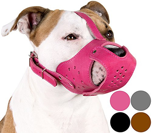 Collardirect Bozal Para Perros Pitbull Amstaff Cesta Cuero G