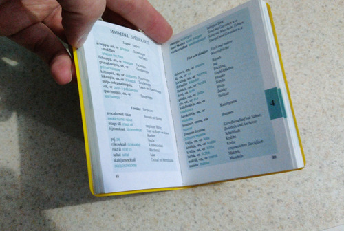 Libros Idiomas Langenscheidt / Alemán - Sueco (Usado)