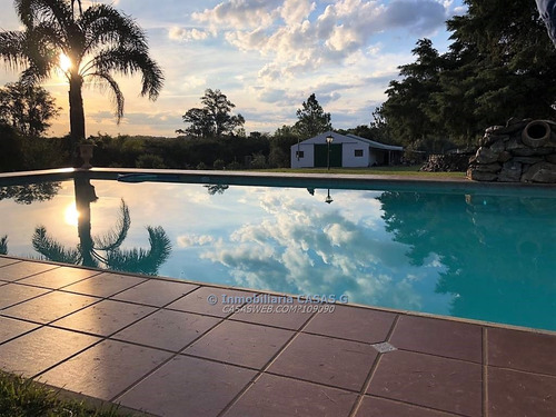 Chacra Con Tres Casas Piscina Caballeriza, Galpón Y Olivos