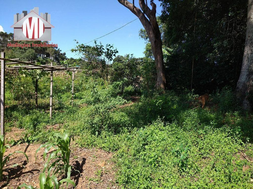 Imagem 14 de 30 de Chácara Com Excelente Terreno, Pomar, Riacho, Pertinho Da Cidade Com 02 Dormitórios À Venda, 12000 M² Por R$ 240.000 - Pedra Bela - Pedra Bela/sp - Ch0666