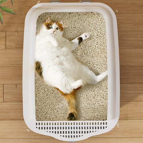 Caja De Arena Para Gatos De Litera De Lados Altos Inodoro