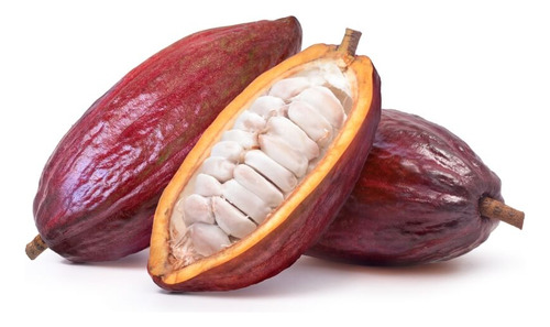 Manteca De Cacao Eco - 170 Gr Apto Cosmética