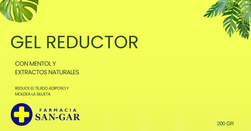 Gel Reductor Sangar Mentol Y Extractos Naturales 230g