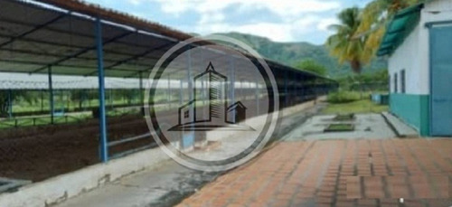 Imagen 6 de 6 de Granja Avicola En Venta En San Francisco De Asis Edo Aragua 020jsc