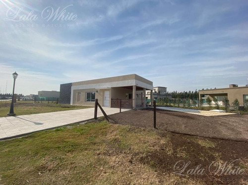 Imagen 2 de 22 de Casa En San Felipe - Venta Con Renta