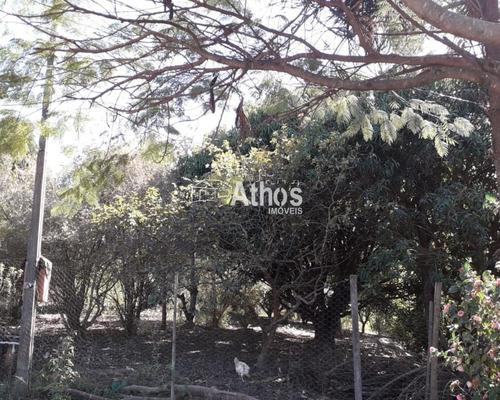Imagem 3 de 16 de Vendo Sitio Em Elias Afusto - St00030 - 69569323
