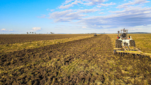 Venta Campo 740 Hás Rocha Agrícola Ganadero R 7085 (ref: Atm-7085)
