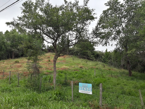 Imagen 4 de 4 de Terrenos En Cuatro Horizontes