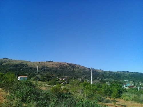 Terreno Em Vila Nova - Lu268329