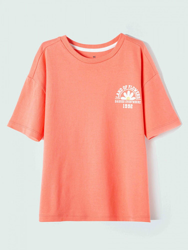 Camiseta Infantil Con Estampa - 5dtb