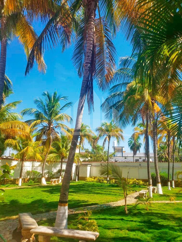 Imagen 12 de 19 de Yohandys Vende Hotel En Chichiriviche Estado Falcon