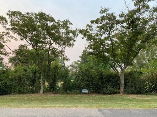 Imagen 6 de 9 de Terreno Venta Club De Campo San Francisco Manzanares Pilar