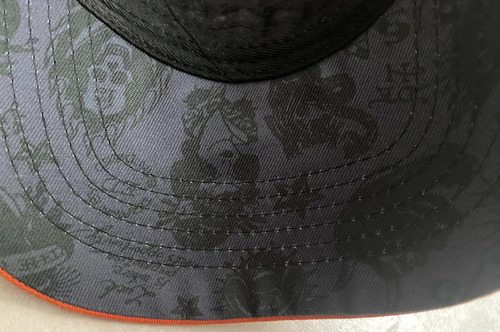 Gorra Ed Hardy (Usado)
