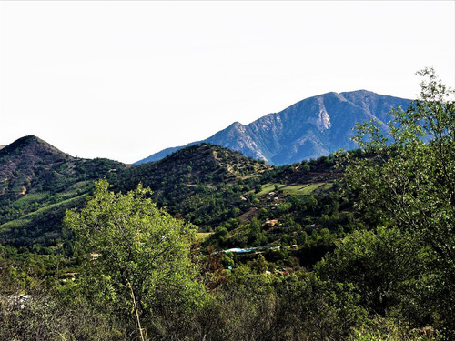 Parcela 32.000m2 En Venta En Cuesta La Dormida - Olmué.