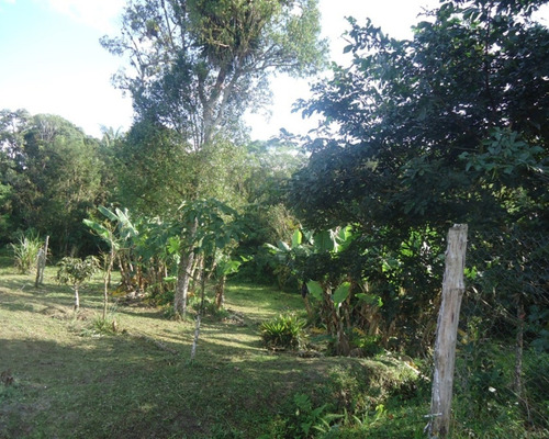 Imagem 7 de 23 de Sítio À Venda Em Juquitiba - 247 - 32982589
