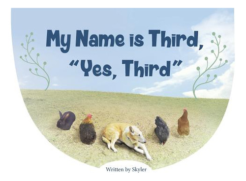 My Name Is Third, Yes, Third, De Skyler. Editorial Price World Pub, Tapa Dura En Inglés