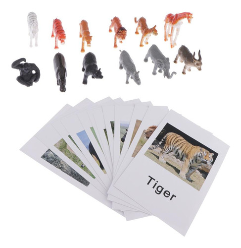 2 Tarjetas Educativas Del Modelo Del Del Animal Del Juguete