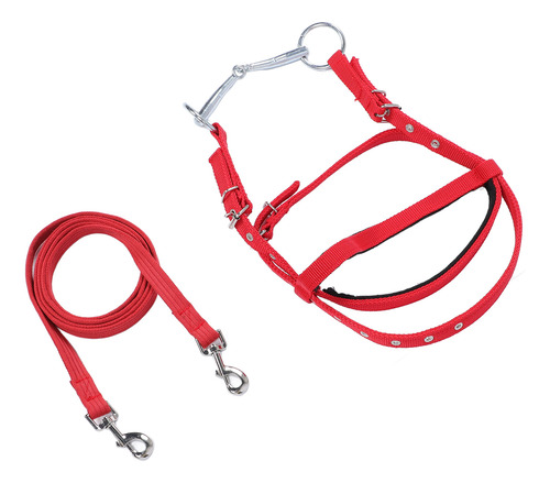 Cabezal Ecuestre Pequeño Y Ajustable Para Caballos, Rojo Y R