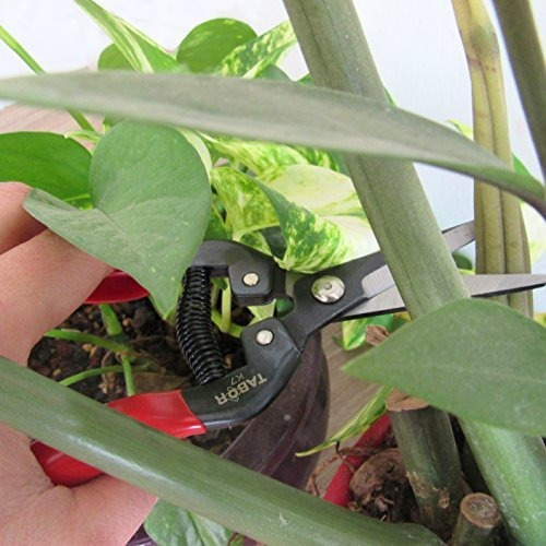 Podadora Recta Tabor Tools K7a Con Cuchillas De Acero Al