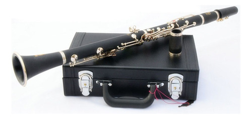 Clarinete Profesional Tubo Negro Clarinete Sib