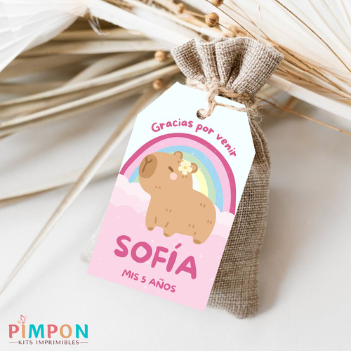 Kit Imprimible Capibara Arcoiris Rosa - Textos Editables