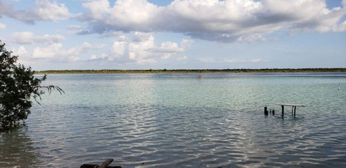 Imagen 4 de 15 de Increíble Lote En Venta Con 270 M Lineales De Laguna De Bacalar C1314
