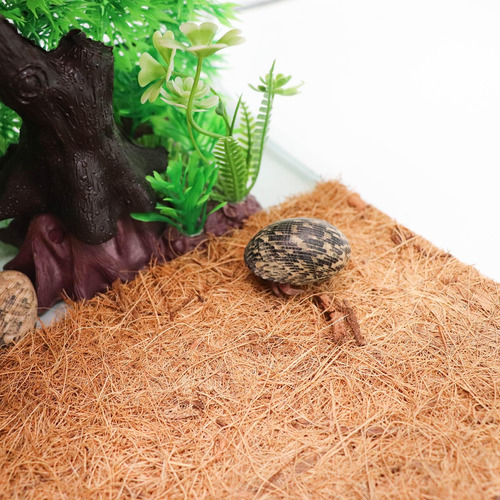 Sustrato De Fibra De Coco Para Terrario De Reptiles