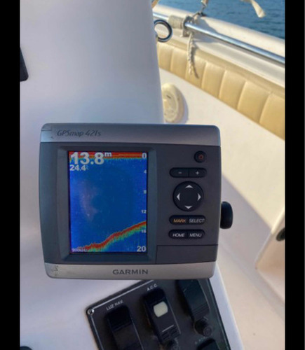 Top Fish 21