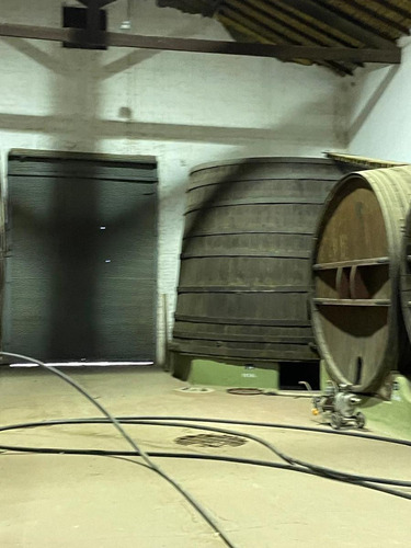 Bodega En Maipú Mendoza