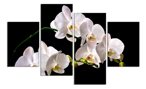 Set De 4 Cuadros Orquideas Blancas En Rama 80x150cm