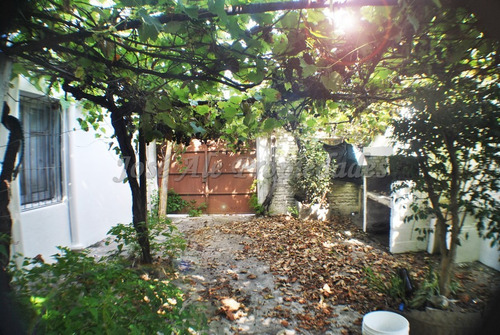 Imagen 12 de 14 de En Venta Tres Propiedades En Un Mismo Padron Colonia Del Sacramento