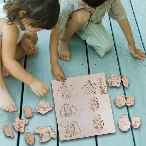 Juguetes De Rompecabezas Montessori: Aprendizaje Preescolar