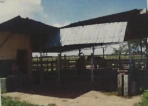 Imagen 10 de 17 de Se Vende Finca En Caicarita Estado Monagas Ve02-1095mced-mtru
