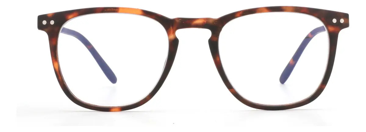 Lentes Ópticos Lectura Anteojos Graduados Presbicia Gafas. Color Marrón/graduación 2.5