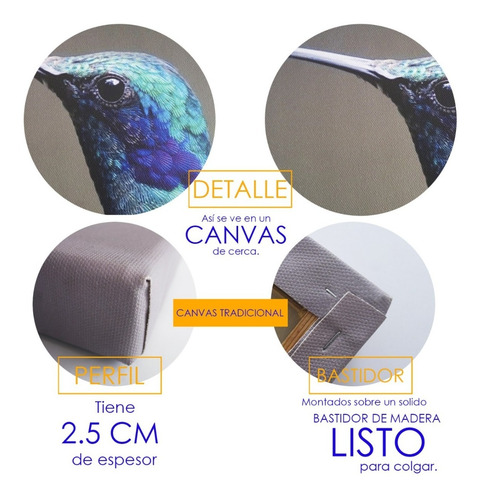 Cuadro Canvas Arte Pop Piñas 120*80cm
