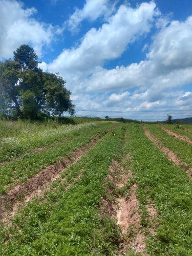 Imagem 6 de 10 de Ag7- Lotes/terrenos Residenciais Em Cotia