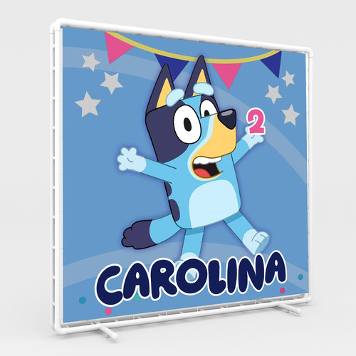 Lona 1 X 1 Metros Personalizada Fiesta Cumpleaños Personajes Bluey
