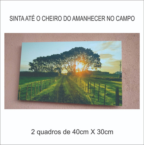 2 Quadros Decorativos Médio 40x30cm Paisagem Fazenda Sol