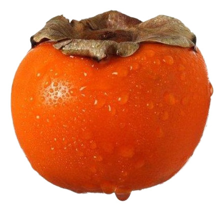 Oferta Fin Temporada Arboles Frut- Citricos, Caduc, Autoc.