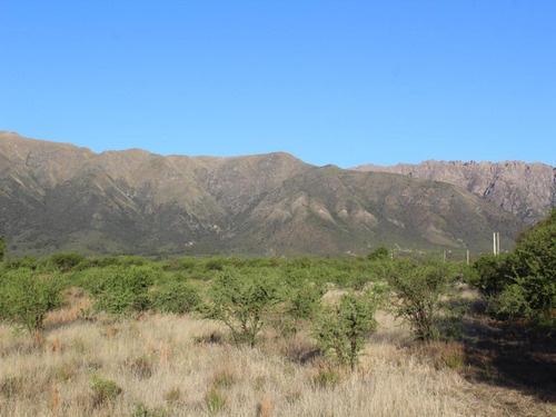 Imagen 12 de 14 de Venta De Lote En Cortaderas Desmalezados