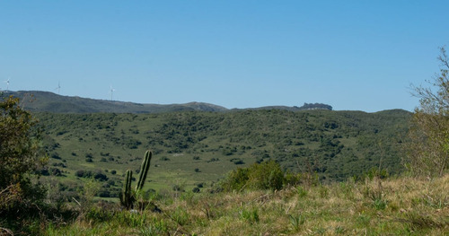 Imagen 3 de 13 de Chacras En Venta En Lavalleja, Aguas Blancas, Minas (ref: Atm-6846)