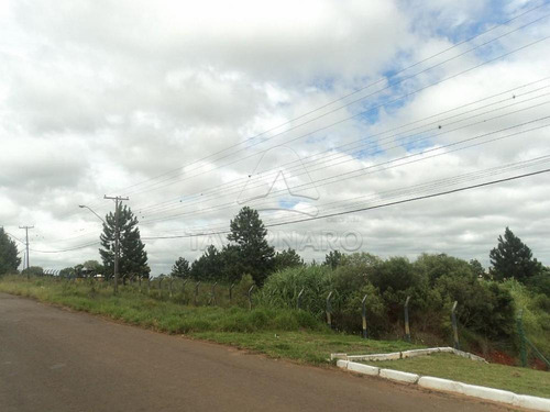 Imagem 2 de 10 de Terrenos - Ref: L1068