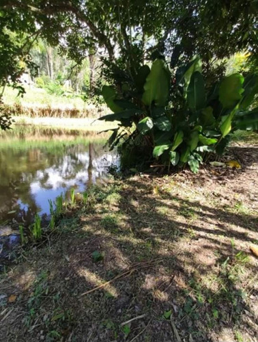 Imagem 2 de 30 de Pequena E Linda Chácara C/piscina Em Juquitiba-sp