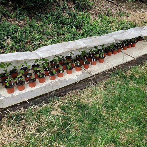 Netización De Pájaros Para Bolsas De Malla De Jardín De