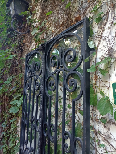 Puerta Hierro Forjado Vidriada. Antigua Negro