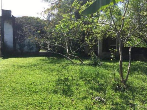 Ótima Mini Chácara No Gaivota Em Itanhaém Sp - 5988 | Npc