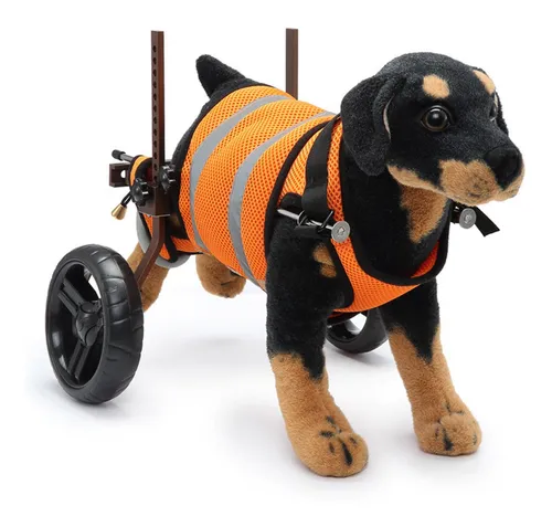 Silla De Ruedas Ajustable Para Perros Pet S Portátil De Alea