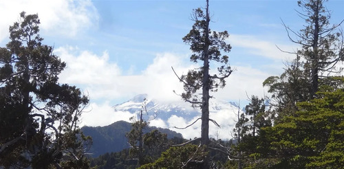 Agrícola En Venta En Hualaihue