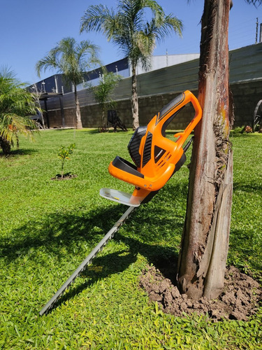 Cortadora Cerco Eléctrico Lusqtoff 550w 51cm Podadora Jardín