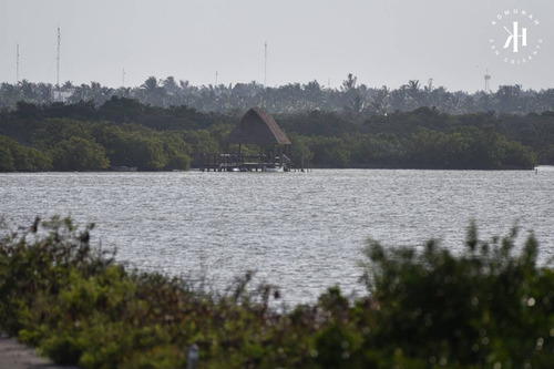 Imagen 3 de 6 de Terrenos En Venta En Con Playa En Mérida Yucatán